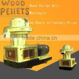 Newly 1 Ton per Hour Pellet Maker Wood Pellet Machine