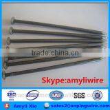 Wire Nails Q195 polished steel common nails factory China