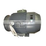 IE3 CE Certified Synchronous 250KW Cast Iron Three Phase Electric Motor