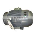 IE3 CE Certified Synchronous 250KW Cast Iron Three Phase Electric Motor thumbnail-1