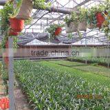 Multi Span Green House With Climate Control and Cooling Pads thumbnail-3