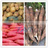 Stainless Steel Carbon Steel Sweet Potato Grain Processing Machine thumbnail-1
