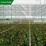 Agricultural Plant Obelisk,Plant Support thumbnail-1