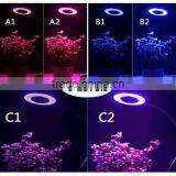 Led Grow Light for Indoor Plants 10W Adjustable 6 Level Dimmable Clip Desk Lamp With 360 Degree Flexible Gooseneck thumbnail-5