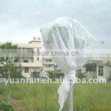 UV Treated Agriclture Use Non Woven Plant Cover