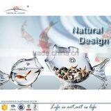 Small Fish Shape Glass Terrarium,elegant Glass Fish Tank Price Promotion for Sale thumbnail-1