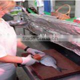 Hot Sale Electric Fish Scaler/electric Kitchen Tool thumbnail-2