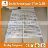 Heracles Series Low Cost Top Sell Plastic Poultry Slat Floor for Chicken Farming thumbnail-4