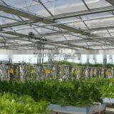 Large Multi-span Glass Green House Agriculture for Farming thumbnail-1