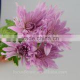 Decorative Flowers & Wreaths Type Chrysanthemum Pink From KUNMING thumbnail-3