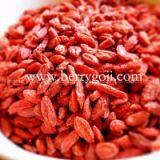Conventional Ningxia Goji Berry thumbnail-2