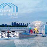 Geodesic Dome Tent for Outside Hotel;transparent Global Tent for Wedding;;transparent Global Tent for Flower Show thumbnail-4
