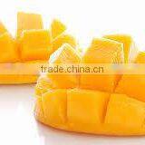 Vietnam Fresh Yellow Mango With High Quality