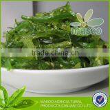 2013 Chuka Wakame Seaweed/Flavor Wakame/Dried Brown Seaweed/Dried Seaweed With Top Quality thumbnail-1