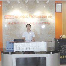 Pagooda Technolo company overview - view 1 thumbnail