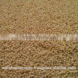 Amaranthus Seeds thumbnail-1