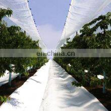 Anti UV Transparent PE Tarpaulin for Cherry Tree Protection Cover thumbnail-1