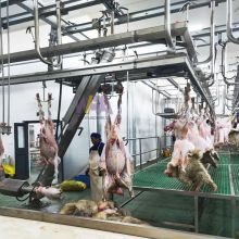 Turnkey project goat slaughter machine lamb slaughtering line abattoir butcher equipment for sheep slaughterhouse