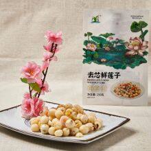 Premium Fresh Lotus Seeds Pit Removed Ready to Cook Enjoy Nutritious Tender Juicy & Naturally Delicious thumbnail-2