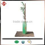 2015 pp Correx Coroplast Tree Guards Plant Protection Tree Guard thumbnail-3