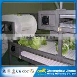 Adjustable Speed Vegetable Belt Conveyor Price Quality Choice thumbnail-6