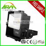 High Cost Performance 300 Watts Halogen Flood Light With CE ETL