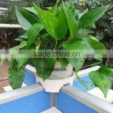 New Gifts and Gadgets - Flower Pot Stand,patented Design