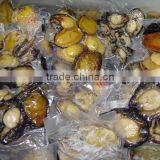 Fresh Frozen Abalone Meat Shellfish