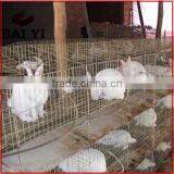 China Hot Sale Cheap Large High Quality Galvanized Rabbit Cage thumbnail-5