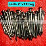 Libya Market Nails thumbnail-5