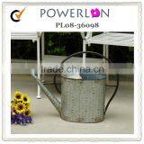 Spout Watering Can Garden Sprayer Power Coating Spraying Kettle thumbnail-1