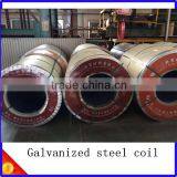 Famous Brand-Glavanized Steel Coil thumbnail-1