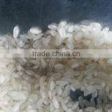 Camolino Rice thumbnail-4