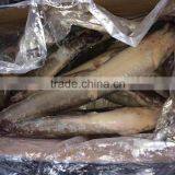Good Sea Catfish thumbnail-5