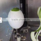 FXP-99 Automatic Wax Gourd Peeling Machine,cantaloupe Peeler,root Vegetable and Fruit Peeling Machine thumbnail-4
