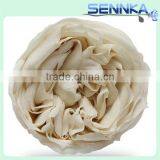 Natural Preserved English Rose Heads in White Green 8 per Box thumbnail-3