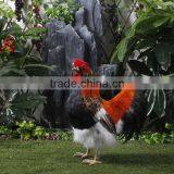 Dance Plush Chicken Toy for Garden Decoration thumbnail-3