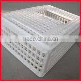 Plastic Poultry Transport Crate/chicken Transport Box thumbnail-4
