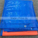 Blue White Tarpaulin Design for Wedding thumbnail-1