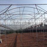 Arch Pipes Poly Multi-span Greenhouse for Vegetables thumbnail-2