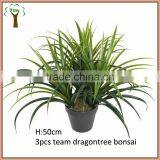 Potted 3pcs of Artificial Dragontree Bonsai in 50cm Sale thumbnail-1