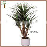 Big Artificial Pandanus Plant Pandanus Tree Produce thumbnail-1