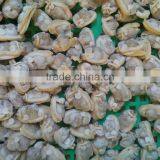 Frozen Wholesale Baby Clam Meat Taste Well for Sale thumbnail-1