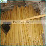 Varnished Wooden Spade Handle for Garden thumbnail-1