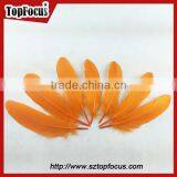 Dyed Colored Purple and Black Goose Feather and Down for Sale thumbnail-4