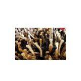 Pure Chinese Knot Plain Carpet thumbnail-1