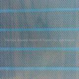 China Supplier Green Mosquito Net Fabric