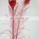 Top Quality Red Natural 80cm-90cm Peacock Feather thumbnail-1