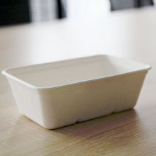 Environmentally friendly disposable recyclable food containers