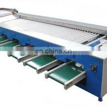 Automatic Cherry Tomato Size Grading Sorting Machine Auto Small Tomatoes Fruit Lychee Sizing Sorter Grader Cheap Price for Sale thumbnail-3